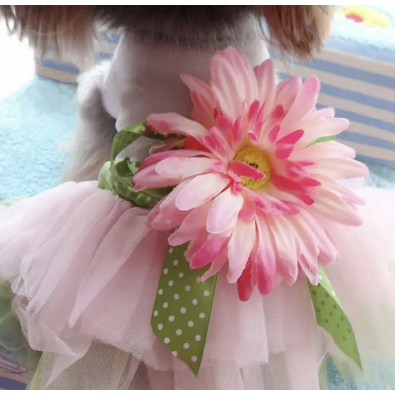 Bohemian Princess Sun Flower Puppy Dog Dress